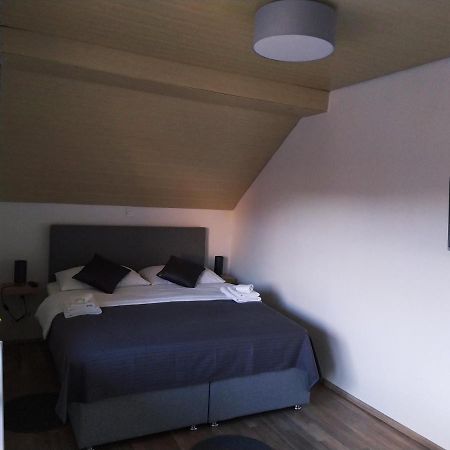 Apartment Trubarjeva33, Near Ljubljana, Free Parking Velike Lasce Extérieur photo